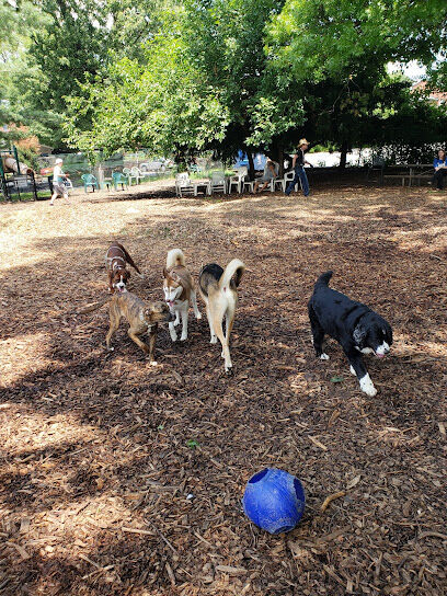 Morton Avenue Dog Park