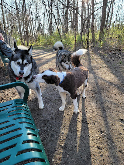 Waverly Dog Run