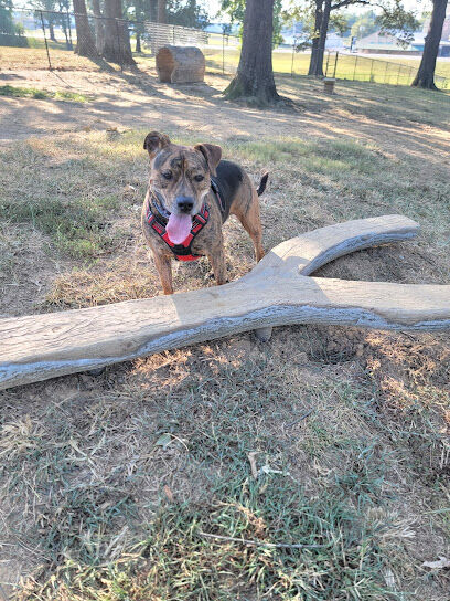 Mahr dog park