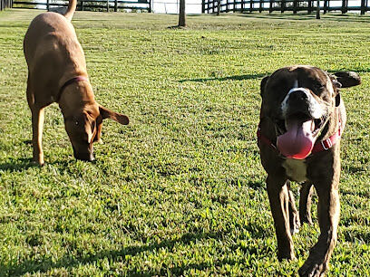 Mackenzie Sayre Dog Park