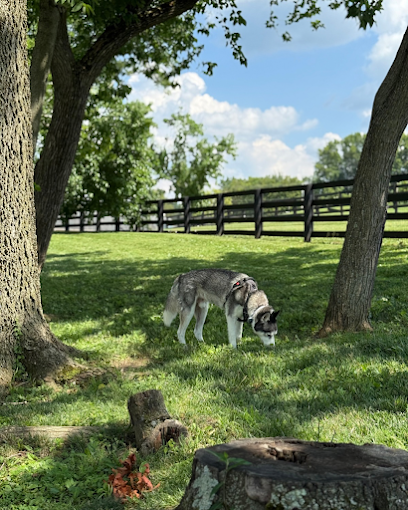 Legacy Dog Park