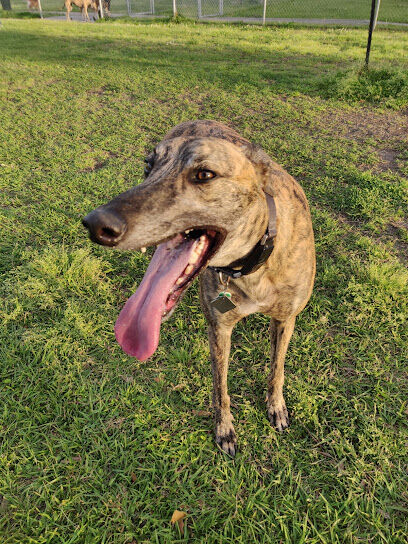 Gretna Dog Park