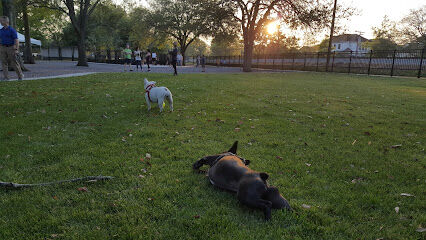 Pontiff Park Dog Park