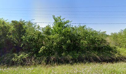 Dog Park at Love's Travel Stops