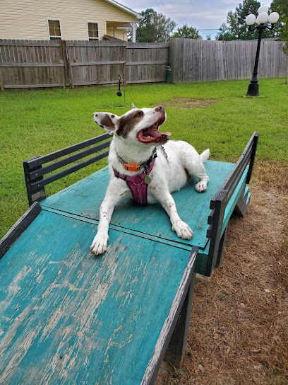 Scentral Park - New Llano Dog Park