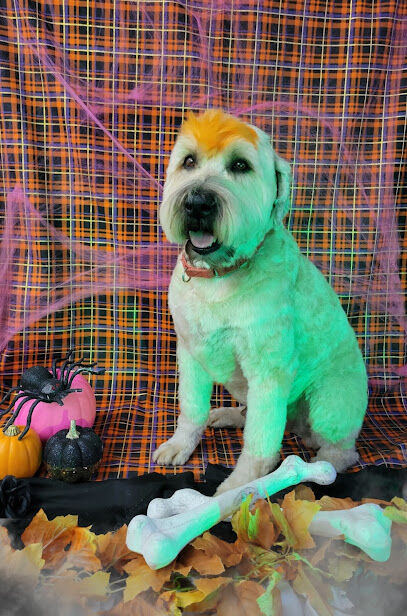 NOLA Bark Market