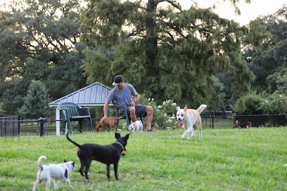 NOLA City Bark