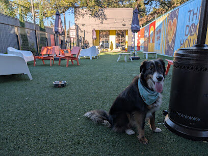 The Dog House