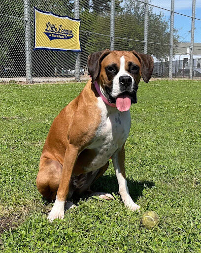 Wisner Dog Park