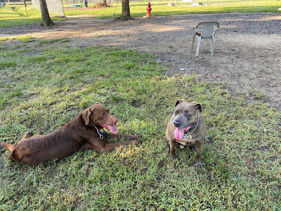 Camellia City Bark Park