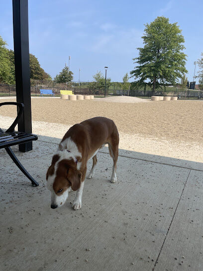Soldiers Field Road Dog Park