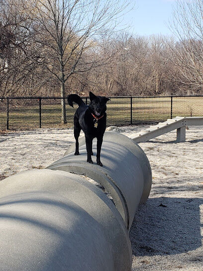 Thorndike Dog Park