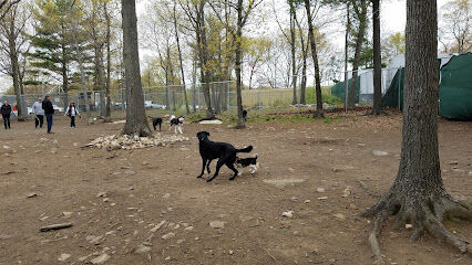Beverly Dog Park
