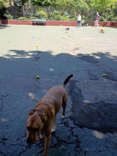 Carleton Court Dog Park