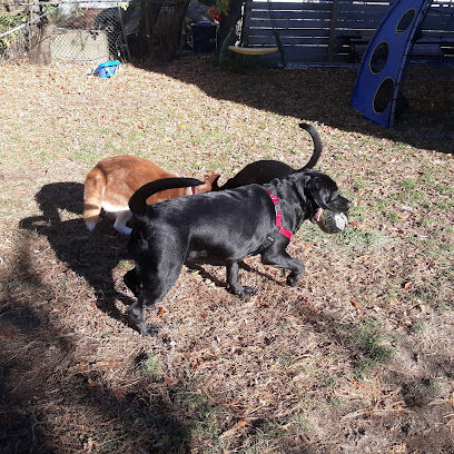 Dog Park at Downer Avenue Park