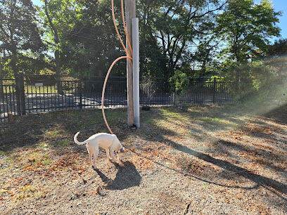 Mansfield Street Dog Park