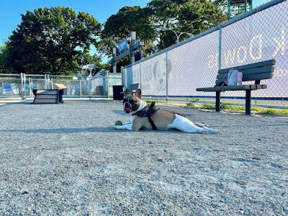The Dog Park @The Track