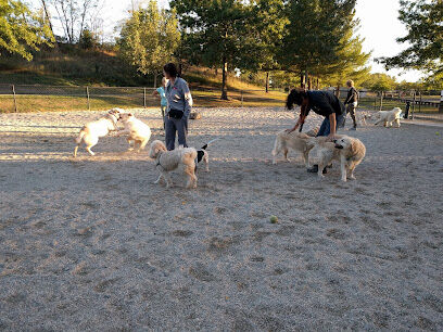 Danehy Dog Park
