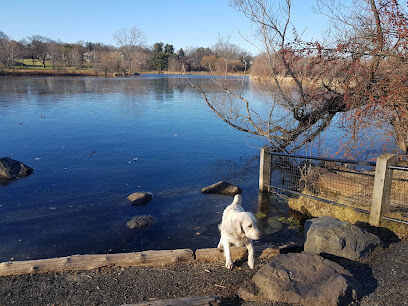 Little Fresh Pond Dog Beach