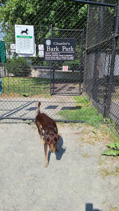 Pemberton Street Dog Run