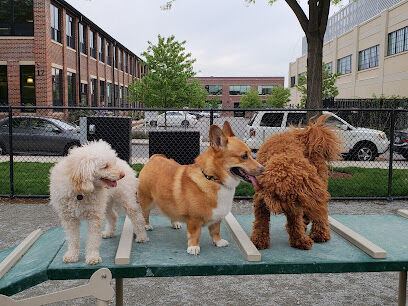 Tudor Dog Park