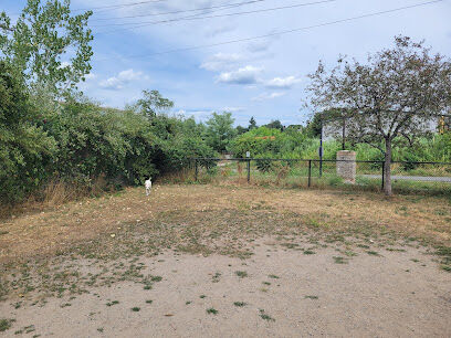Dog Park at 7-Acre Park
