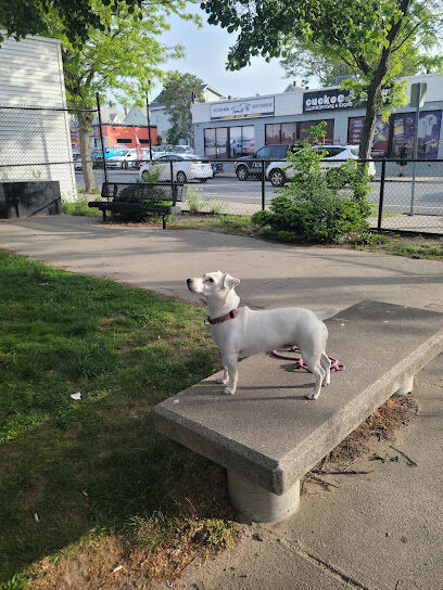 The Pup Park on Chelsea