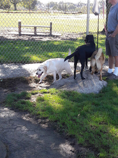 Jose Silva Dog Park