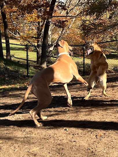 Farm Pond Dog Park