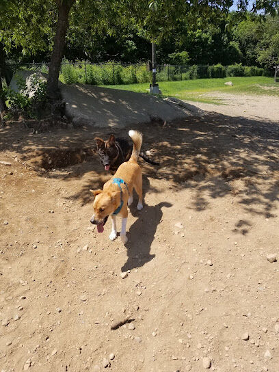 Gloucester Dog Park