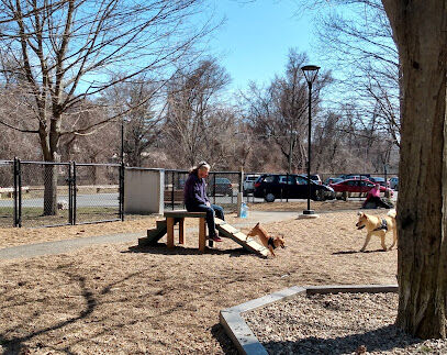 Paws Park