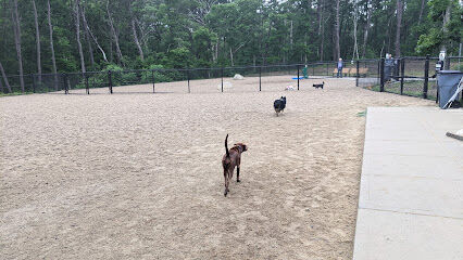 Barnstable Dog Park