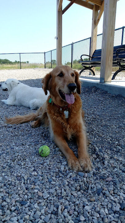 Boneyard Dog Park