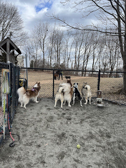 Marblehead Dog Park