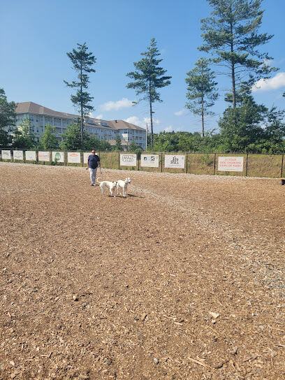 Marshfield Dog Park