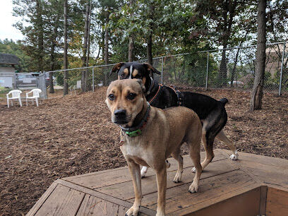 Maynard Dog Park