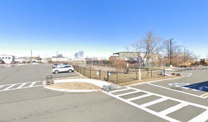 Pet Exercise Area