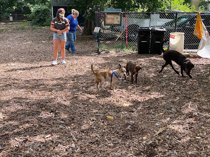 Medway Dog Park