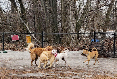 Melrose Dog Park