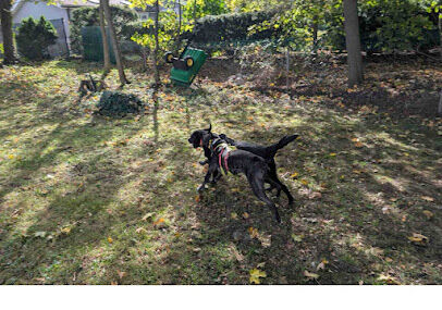 Sniffspot Dog Park