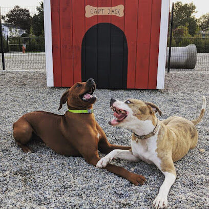 Captain Jack Peterson Dog Park