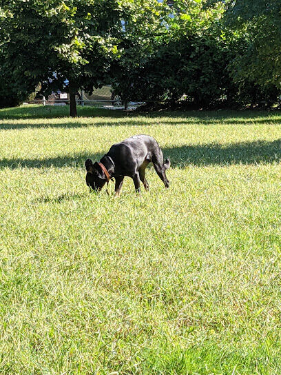 Cold Spring Dog Park - Parking