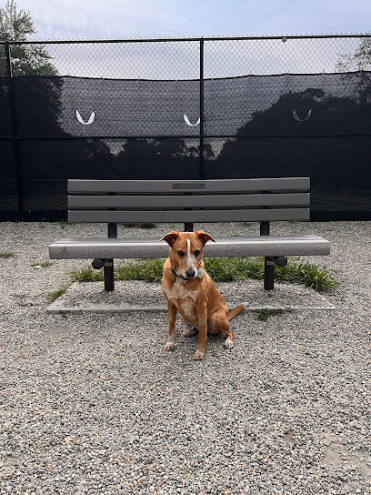 “Paws” Dog Park