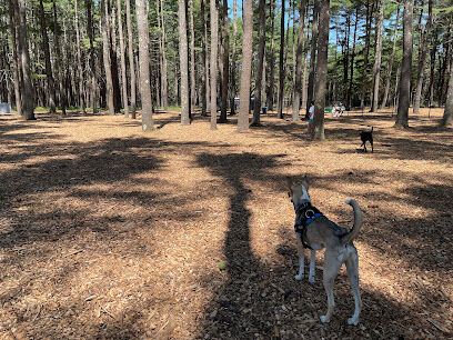 North Attleboro Dog Park