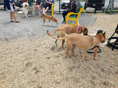 Billerica Dog Park
