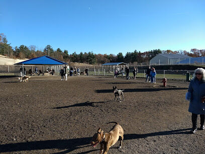 Chelmsford Dog Park