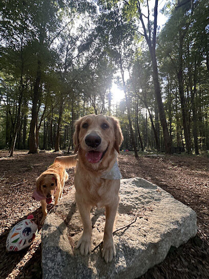 Northborough Dog Park