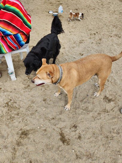 North Quabbin Dog Park