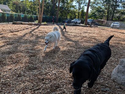 Cedarville Dog Park