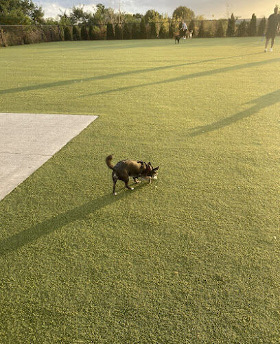 Quincy Dog Park